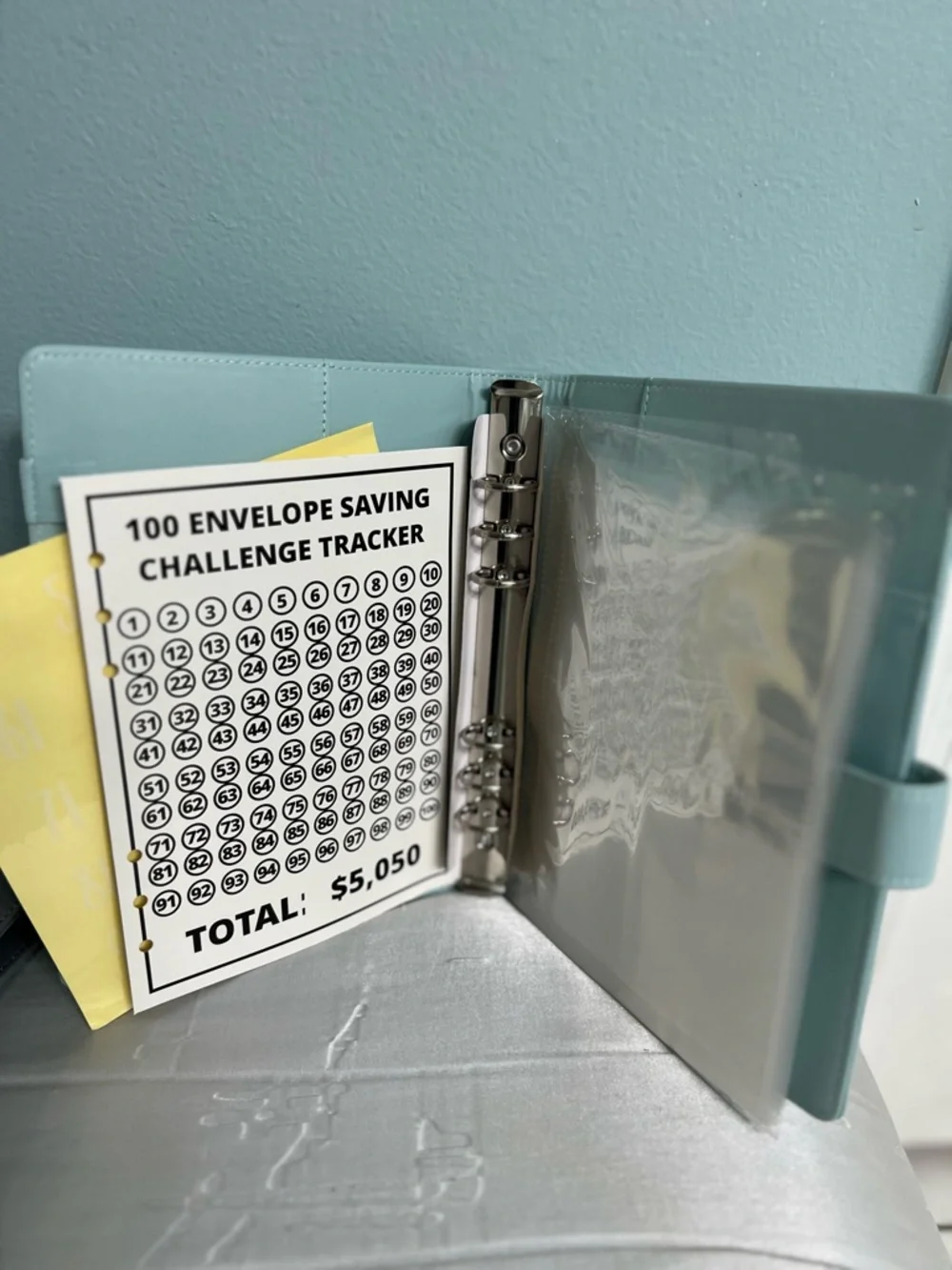 100 Envelope Savings Challenge Wallet - Mint & Gray
